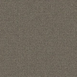 Mohawk True Form Carpet