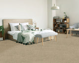 Mohawk Assorted Elements II Carpet