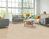Mohawk Paw Pathway Carpet