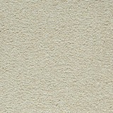Mohawk Gentle Guardian II Carpet