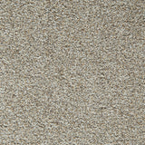Mohawk Cozy Companion II Carpet