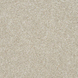 Mohawk Apollo II Carpet