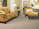 Mohawk Zen Retreat Carpet