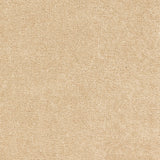 Mohawk Treasure Valley Carpet