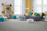 Mohawk Retro Reminisce Carpet