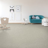 Mohawk Tender Moment II Carpet