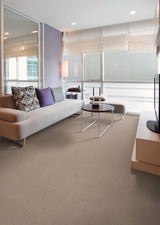 Mohawk Flawless Vision Carpet