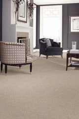Mohawk Perfect Attraction Carpet