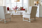 Mohawk Striking Option Carpet