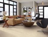 Mohawk Pleasant Touch Carpet