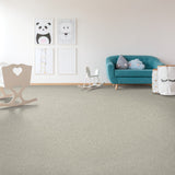 Mohawk Exceptional Choice Carpet