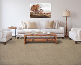 Mohawk Color Fusion II Carpet