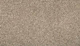 Mohawk Renovate II Carpet