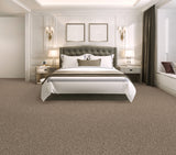 Mohawk Color Classics II Carpet