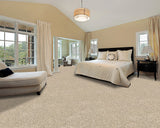 Mohawk Up The Ante Carpet