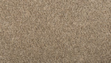 Mohawk Renovate II Carpet