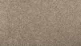 Mohawk Renovate II Carpet