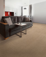 Mohawk Quality Space Carpet