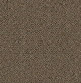 Mohawk Traction II Carpet