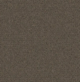 Mohawk Traction II Carpet
