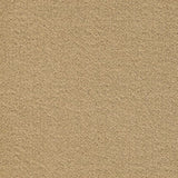 Mohawk Influencer 30 Carpet