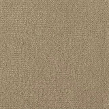 Mohawk Influencer 30 Carpet