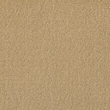 Mohawk Influencer 36 Carpet