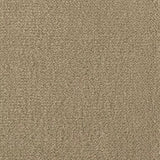 Mohawk Influencer 36 Carpet