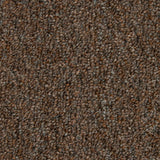 Mohawk Front & Center Carpet