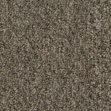 Mohawk Front & Center Carpet