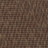 Mohawk Inspiring Moment Carpet