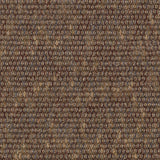 Mohawk Astonishing View Carpet