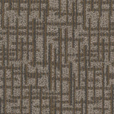 Mohawk Transversal Approach Carpet