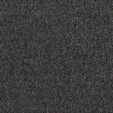 Mohawk Scholarship II 20 Carpet