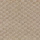 Mohawk Dynamo Carpet