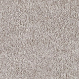 Mohawk True Melody Carpet