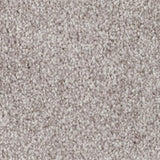 Mohawk True Melody Carpet