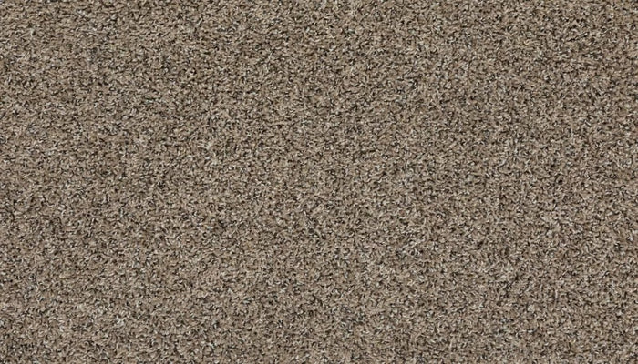 Mohawk Roll With It Carpet