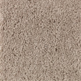 Mohawk Easy Purpose Carpet