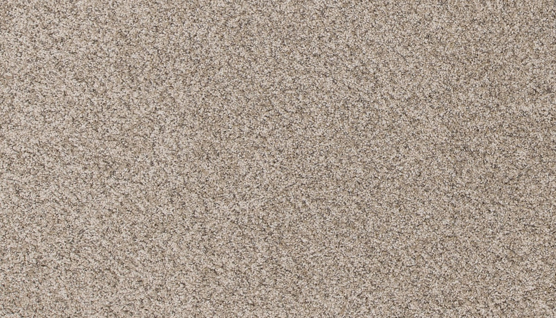 Mohawk Canine Comfort Carpet