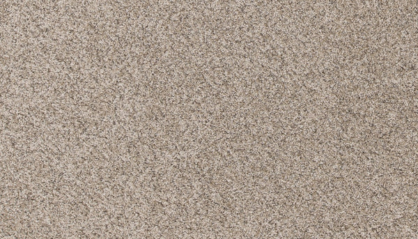 Mohawk Canine Comfort Carpet