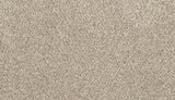 Mohawk Canine Chic Carpet