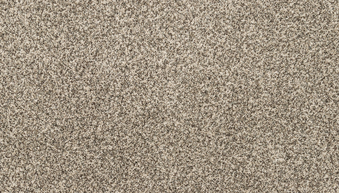 Mohawk Canine Chic Carpet