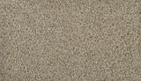 Mohawk Exhilarating Carpet