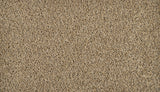 Mohawk Exhilarating Carpet