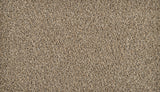 Mohawk Exhilarating Carpet