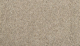 Mohawk Restorative I Carpet