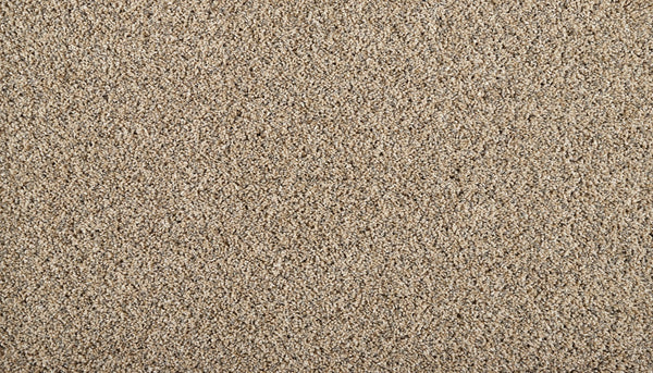 Mohawk Restorative I Carpet