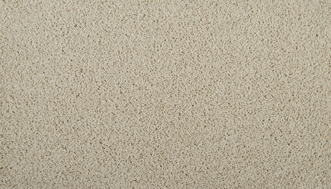 Mohawk Classic Fit II Carpet