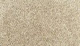 Mohawk Assorted Elements II Carpet